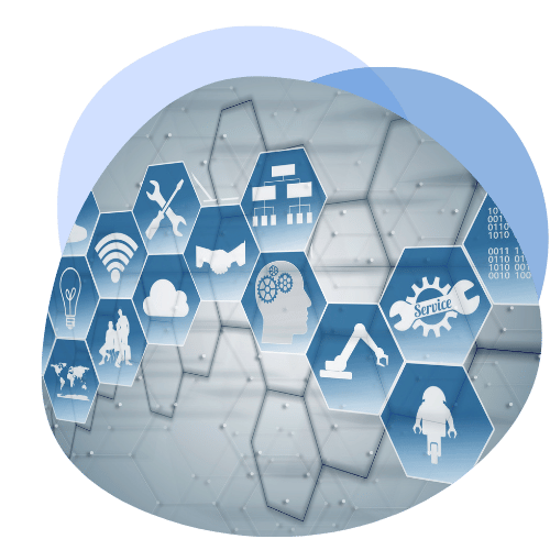 Network Governance